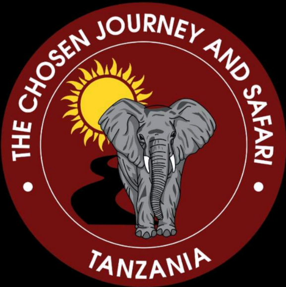 The Chosen Journey And Safari