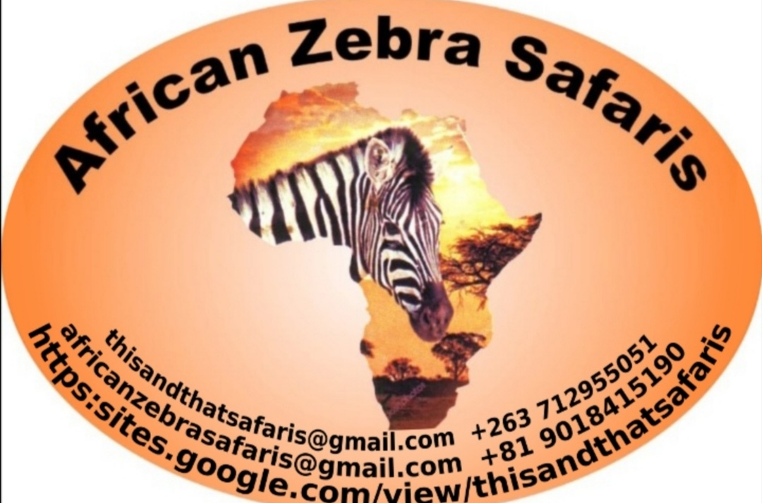 This And That Safaris