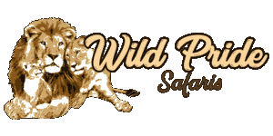 Wild Pride Safaris logo