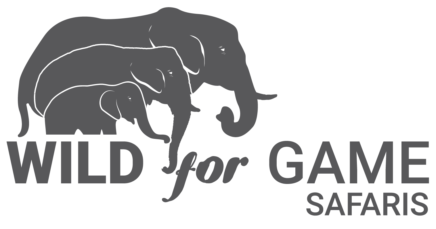 Wild for Game Safaris