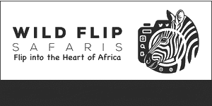 Wildflip Company Ltd logo