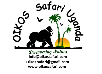 oikos safaris Uganda LTD 