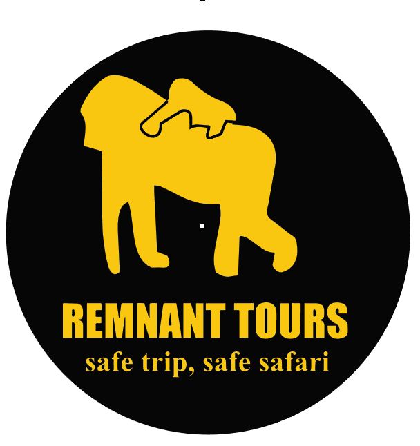 remnant tours and travel
