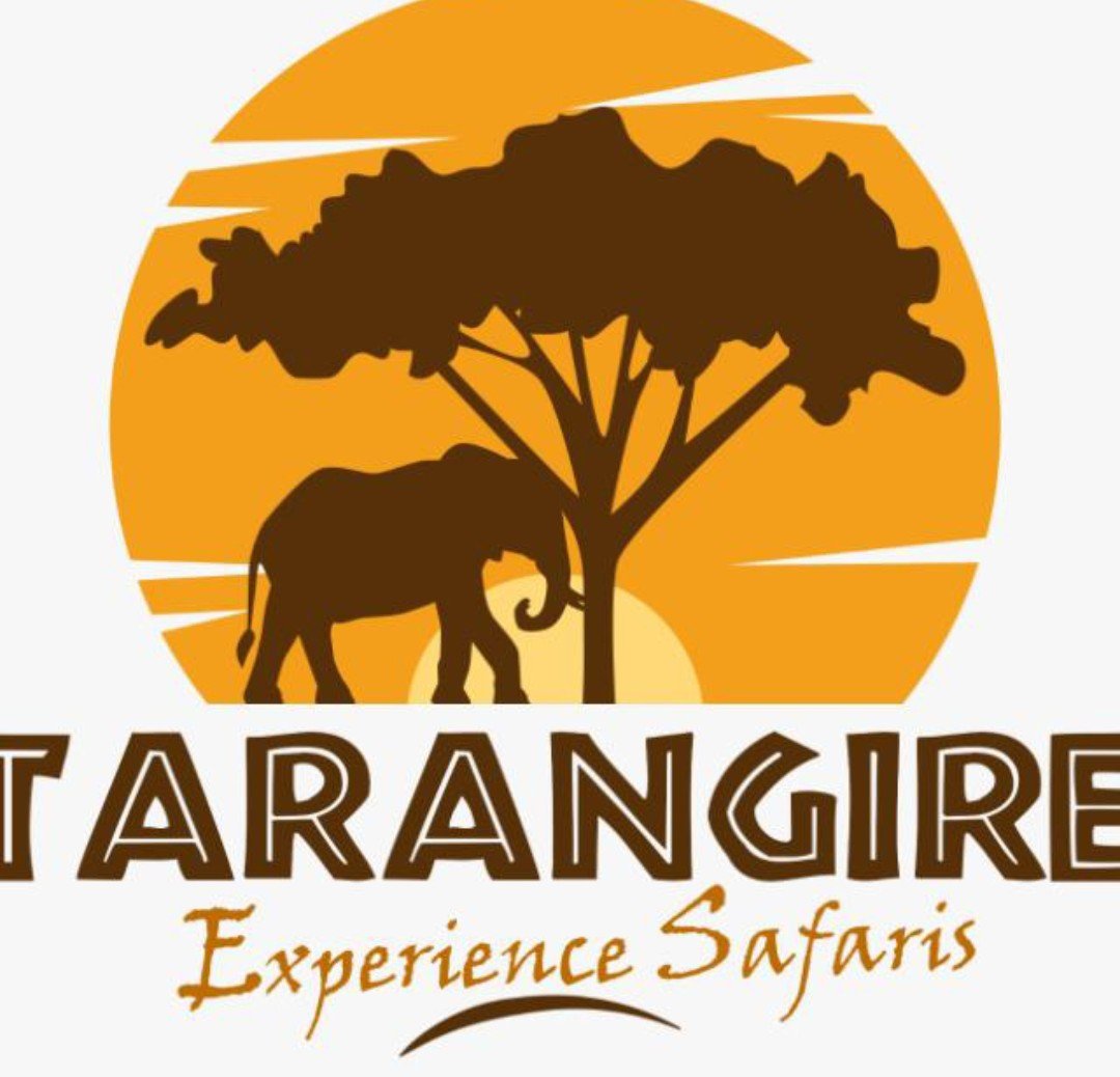 tarangire experience safaris