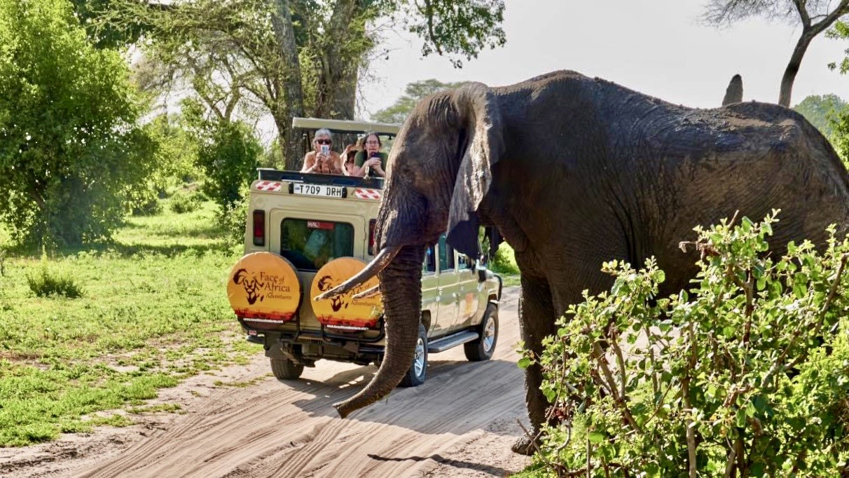 Face Of africa Adventures ltd