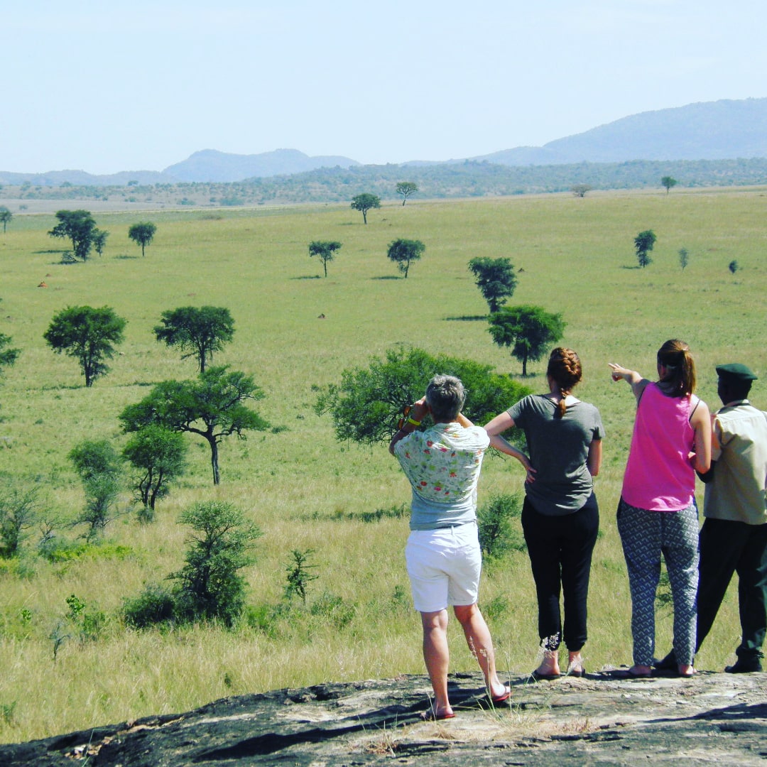 Mandela Safari Holidays