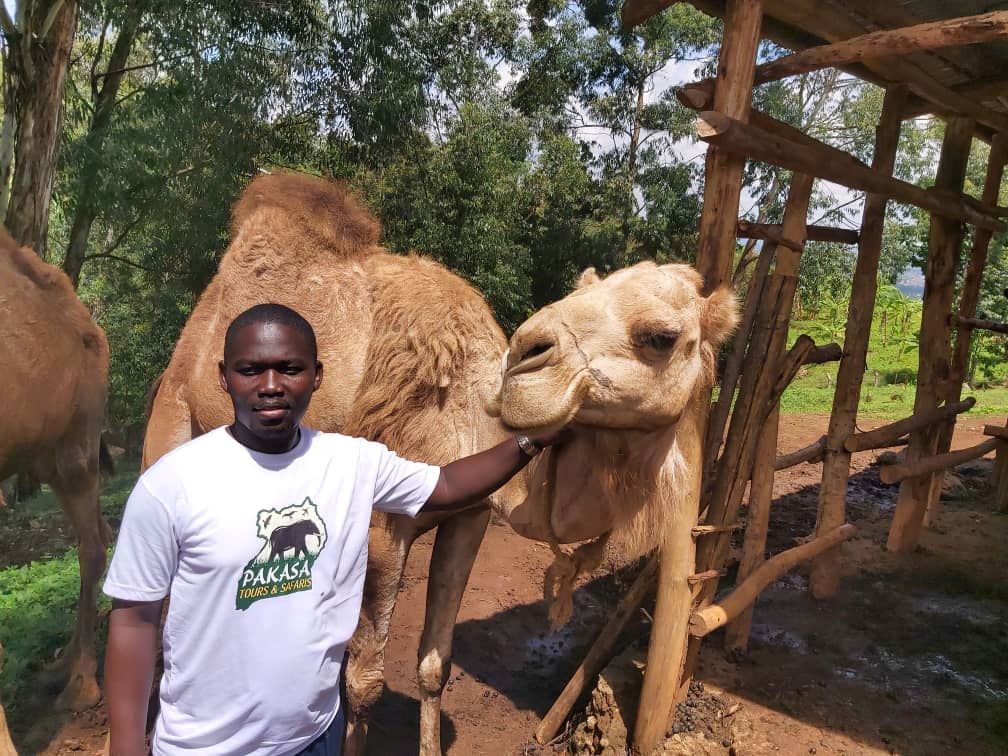 https://pakasatoursandsafaris.com/