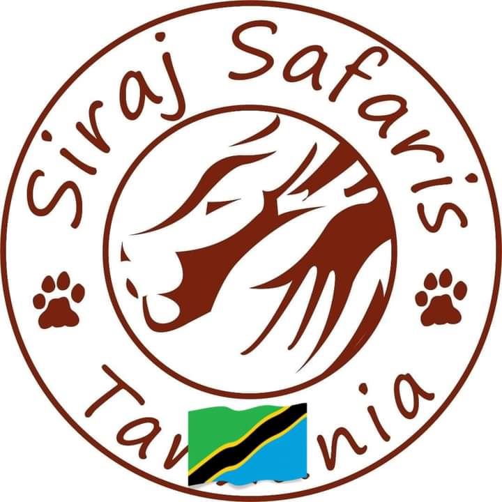 Siraj Safaris 