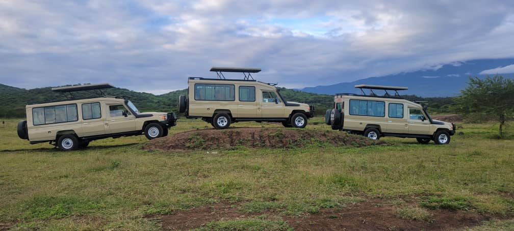Toilo Safaris