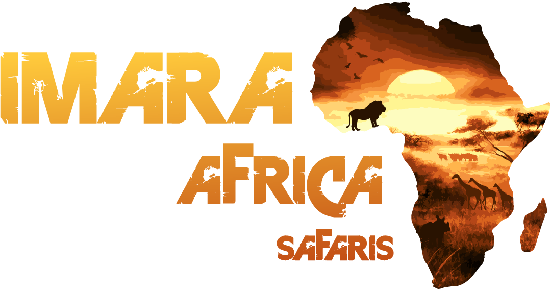 https://safariopedia.com/uploads/operator/logo/644a85bb65054ver-02.png