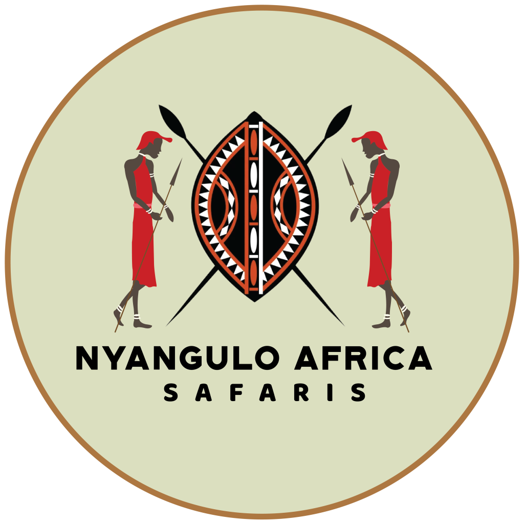 https://safariopedia.com/uploads/operator/logo/64a545c9dc191Nyangulo-Logo-New-SN-01-1024x1019.png